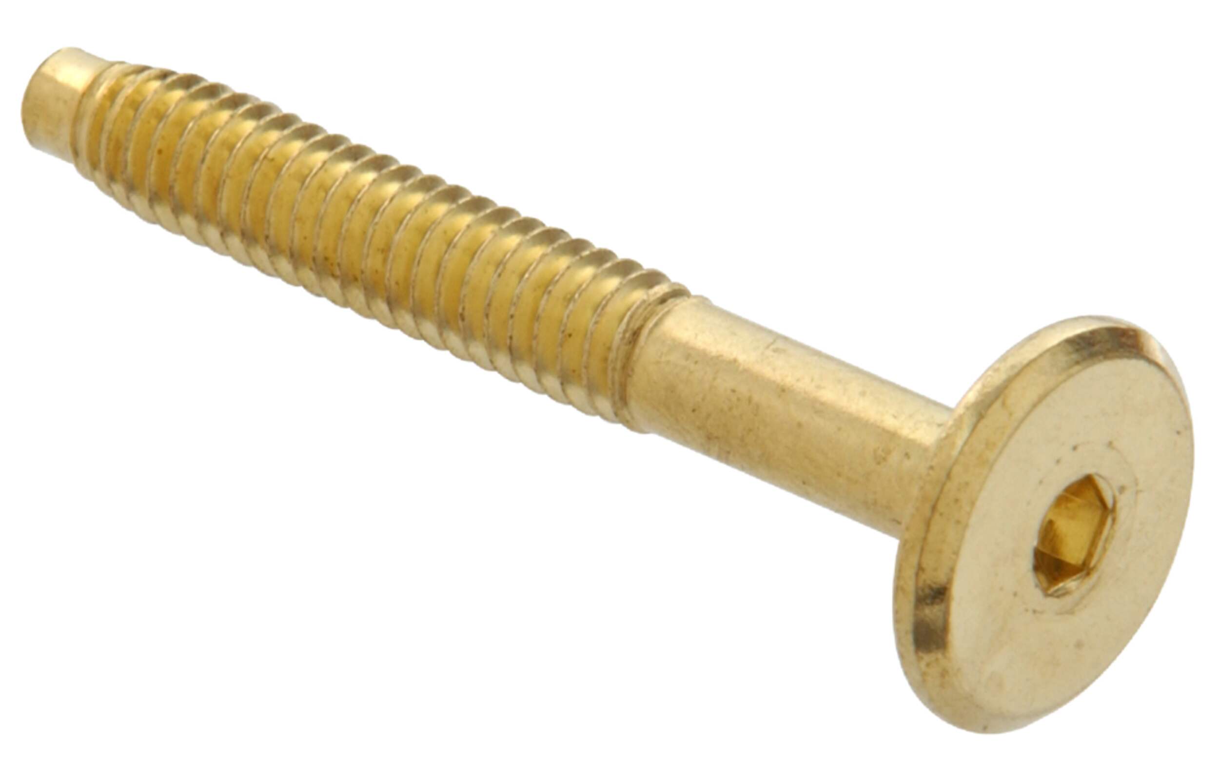 Hillman connector Bolts, Hex Drive, Brass, Assorted Sizes Front_Angled_Right