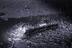 Image de l'article 5 sur 6