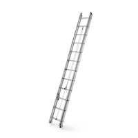 Échelle télescopique en aluminium Mastercraft, catégorie 2, 225 lb, 24 pi