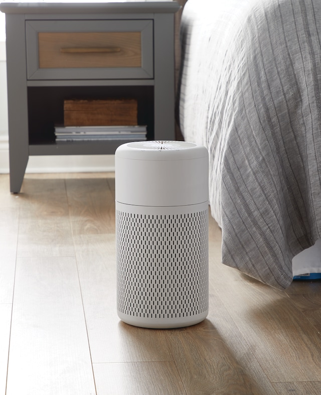 NOMA True HEPA Small Air Purifier with Ionizer & Washable Filter