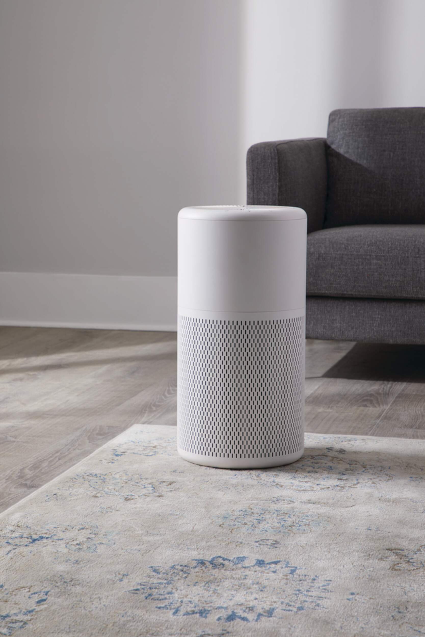 NOMA True HEPA Large Air Purifier with Ionizer & Washable Filter