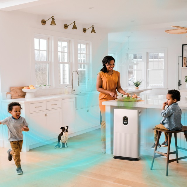 Shark Air Purifier 6 with AntiAllergen HEPA Filter & Advanced Odor