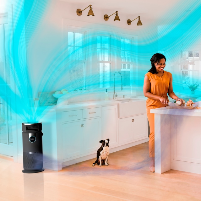 Shark Clean Sense IQ Air Purifier with HEPA MultiFilter, 500 sq. ft