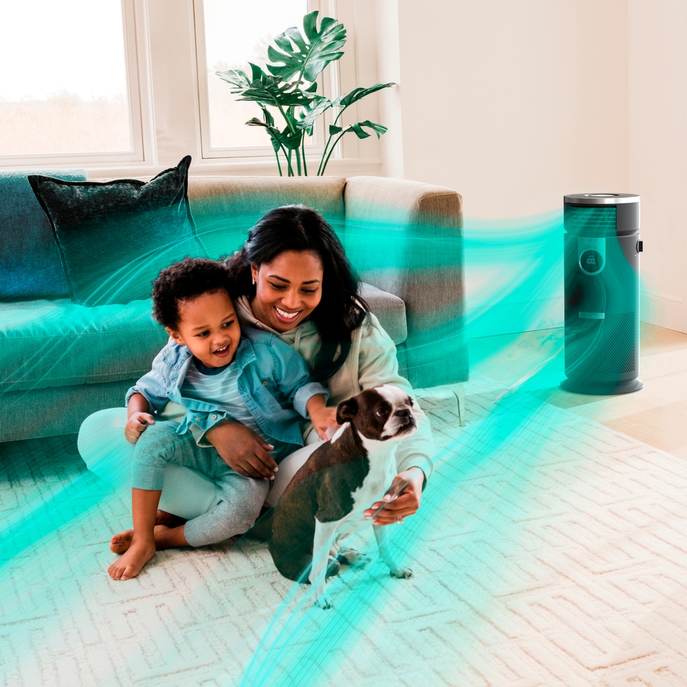 Shark Clean Sense IQ Air Purifier with HEPA MultiFilter, 500 sq. ft