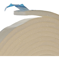 Ruban-mousse d'étanchéité alvéoles ouvertes autocollant Frost King, 3/8 po x 17 pi, blanc CloseUp
