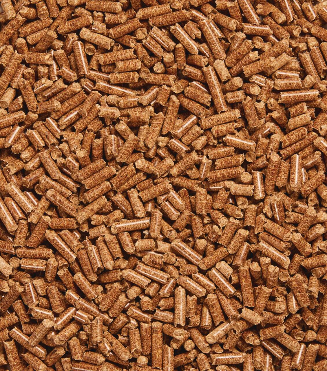 Granules de bois de qualité supérieure LG carboneutre 100% recyclable 40 lb