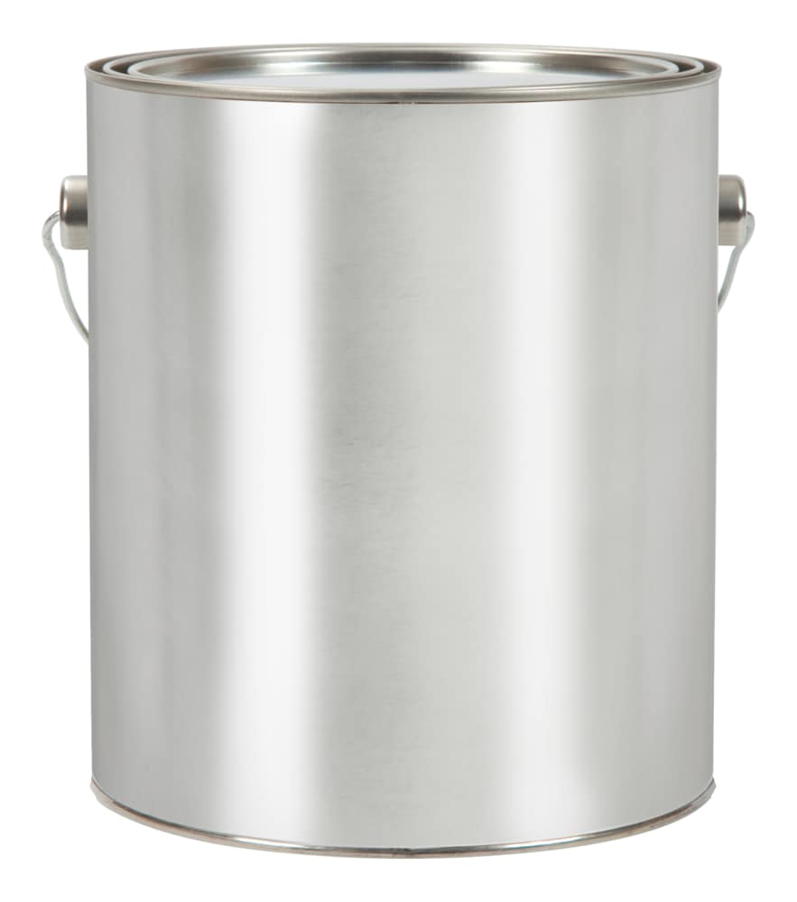 Empty Paint Can, 3.78L Canadian Tire