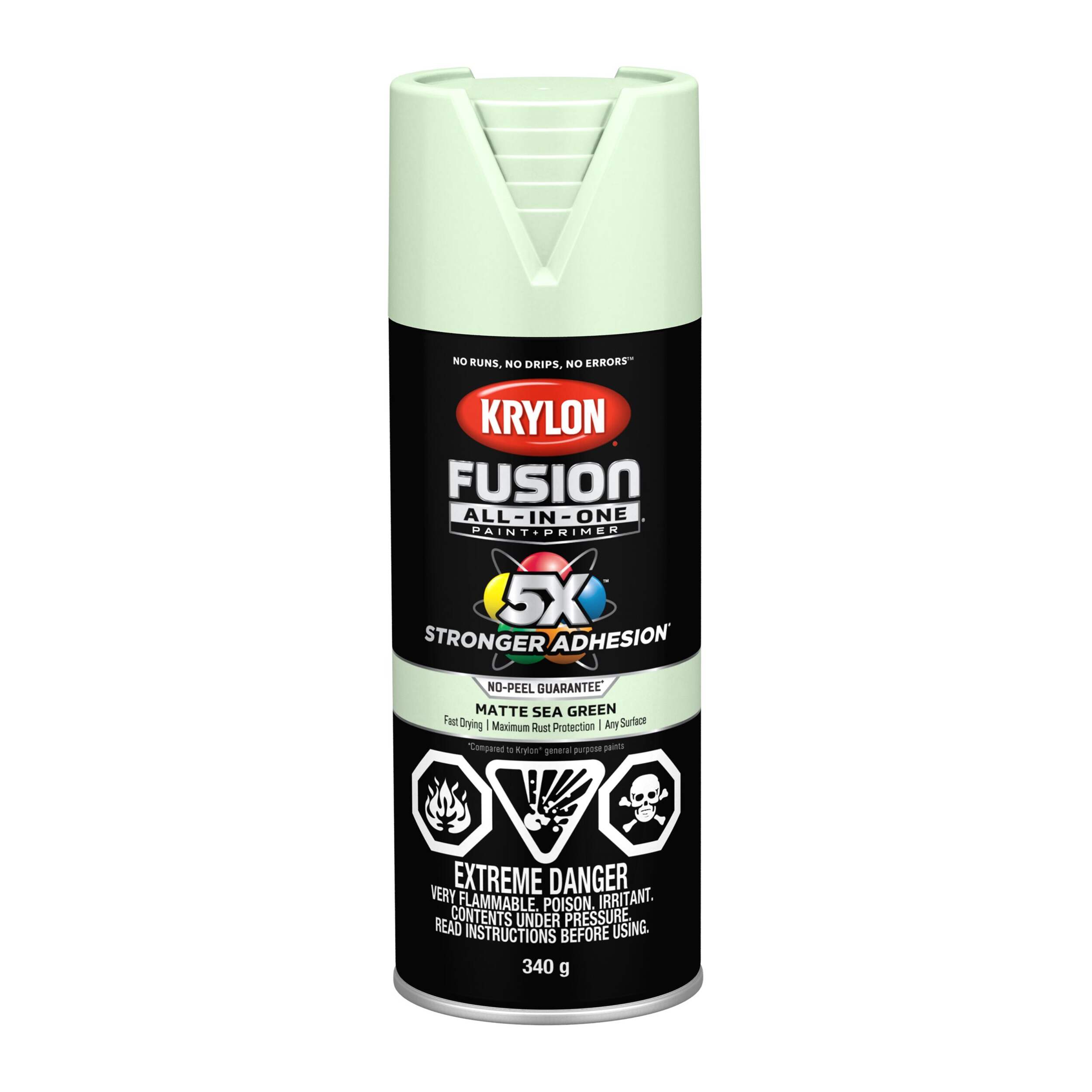 Krylon Fusion All-In-One® Spray Paint Aerosol, Matte, Sea Green, 340-g Front_Flat