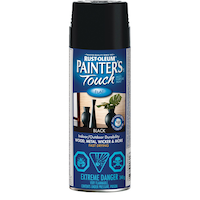 Rust-Oleum® Painter's Touch Interior/Exterior Multi-Purpose Aerosol Spray Paint, 340-g