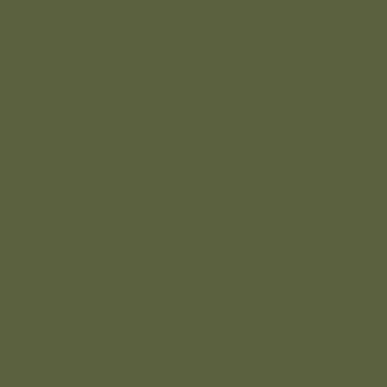 Rust-Oleum® Specialty Camouflage All Surface Aerosol Spray Paint, Ultra  Flat, 340-g