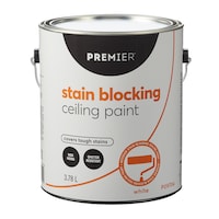 Premier Stain Blocking Interior Ceiling Paint, White, 3.78-L/1-Gallon Front_Elevated