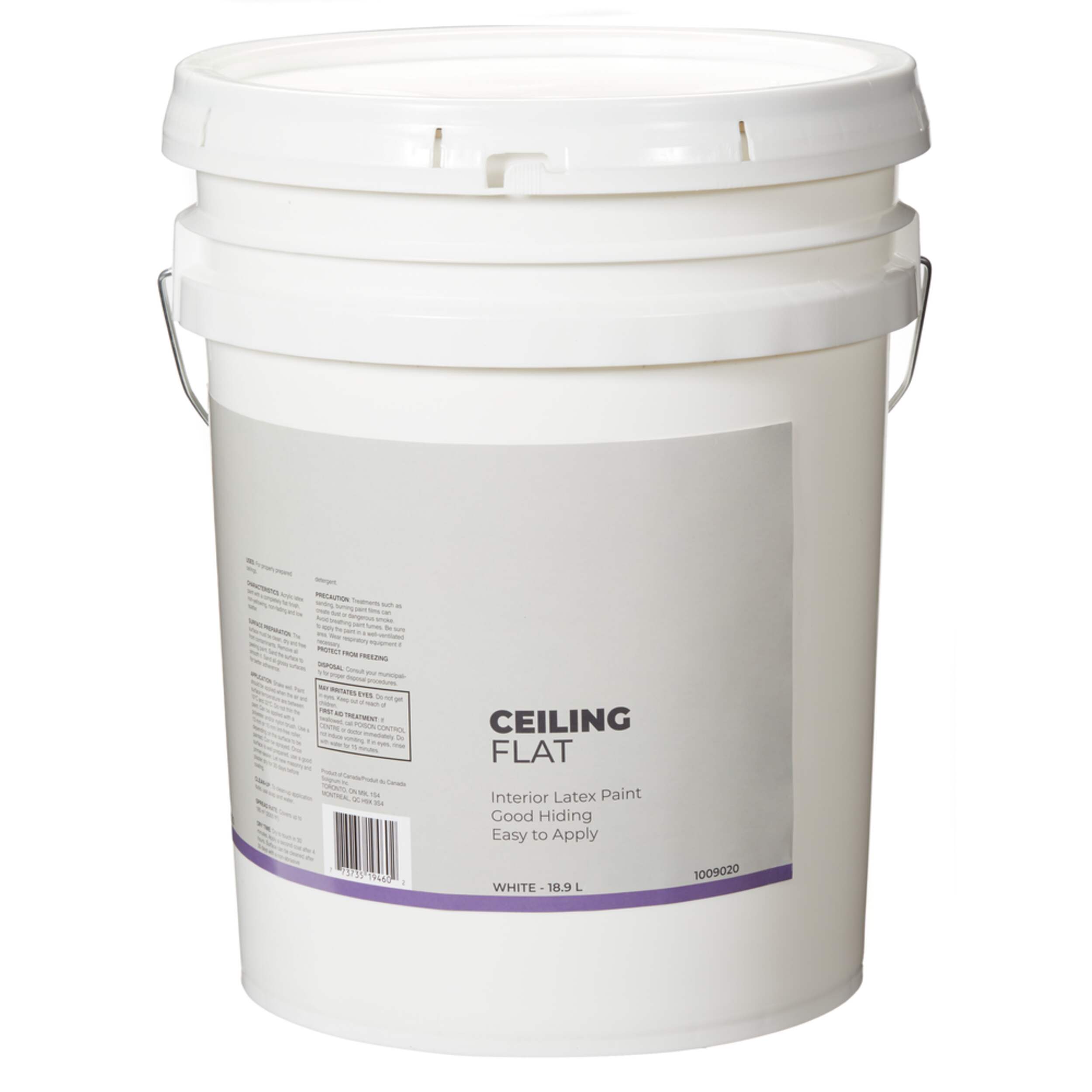 Interior Ceiling Latex Paint, Flat, White, 18.9-L/5-Gallons Front_Elevated