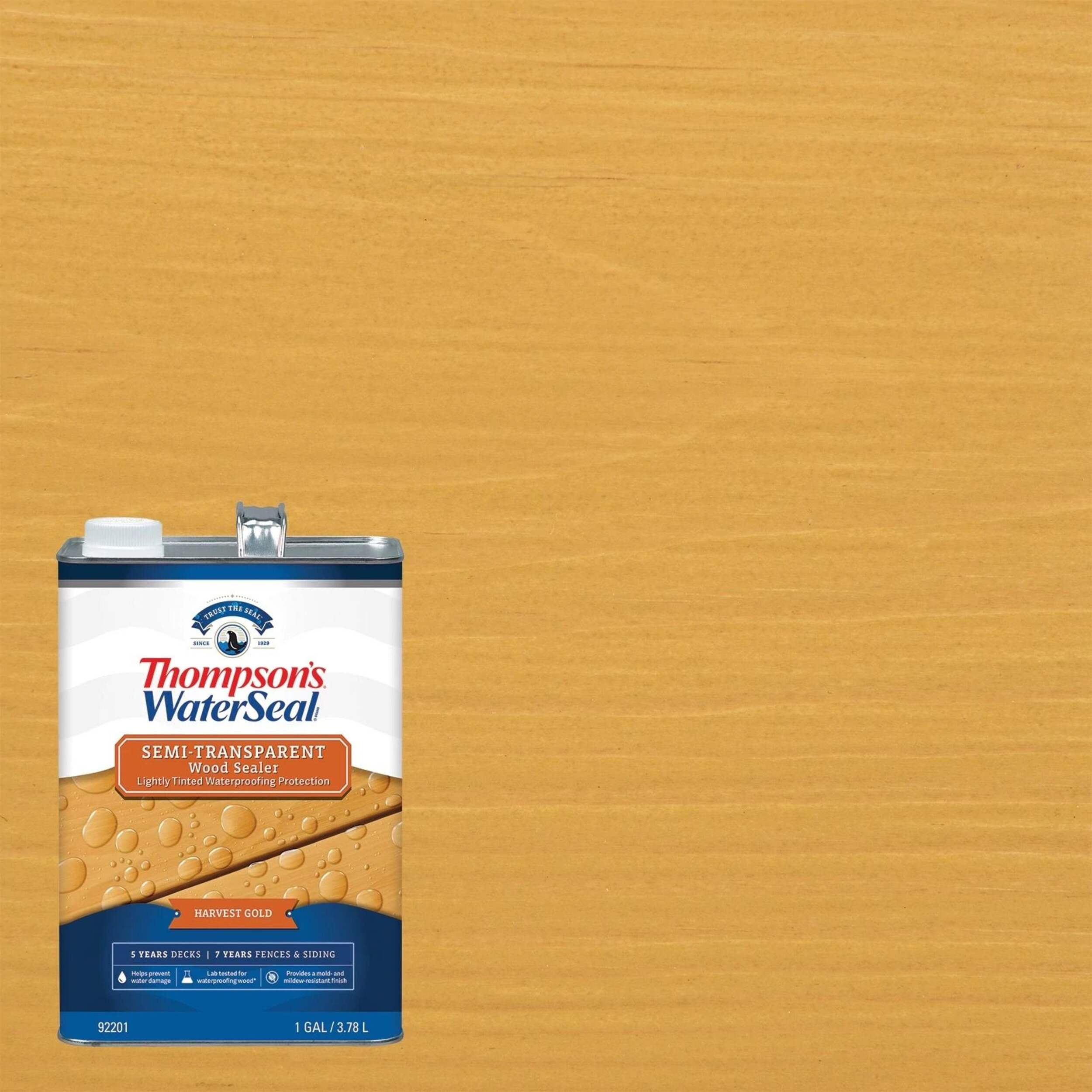 Thompson's WaterSeal® Semi-Transparent Exterior Wood Sealer ...