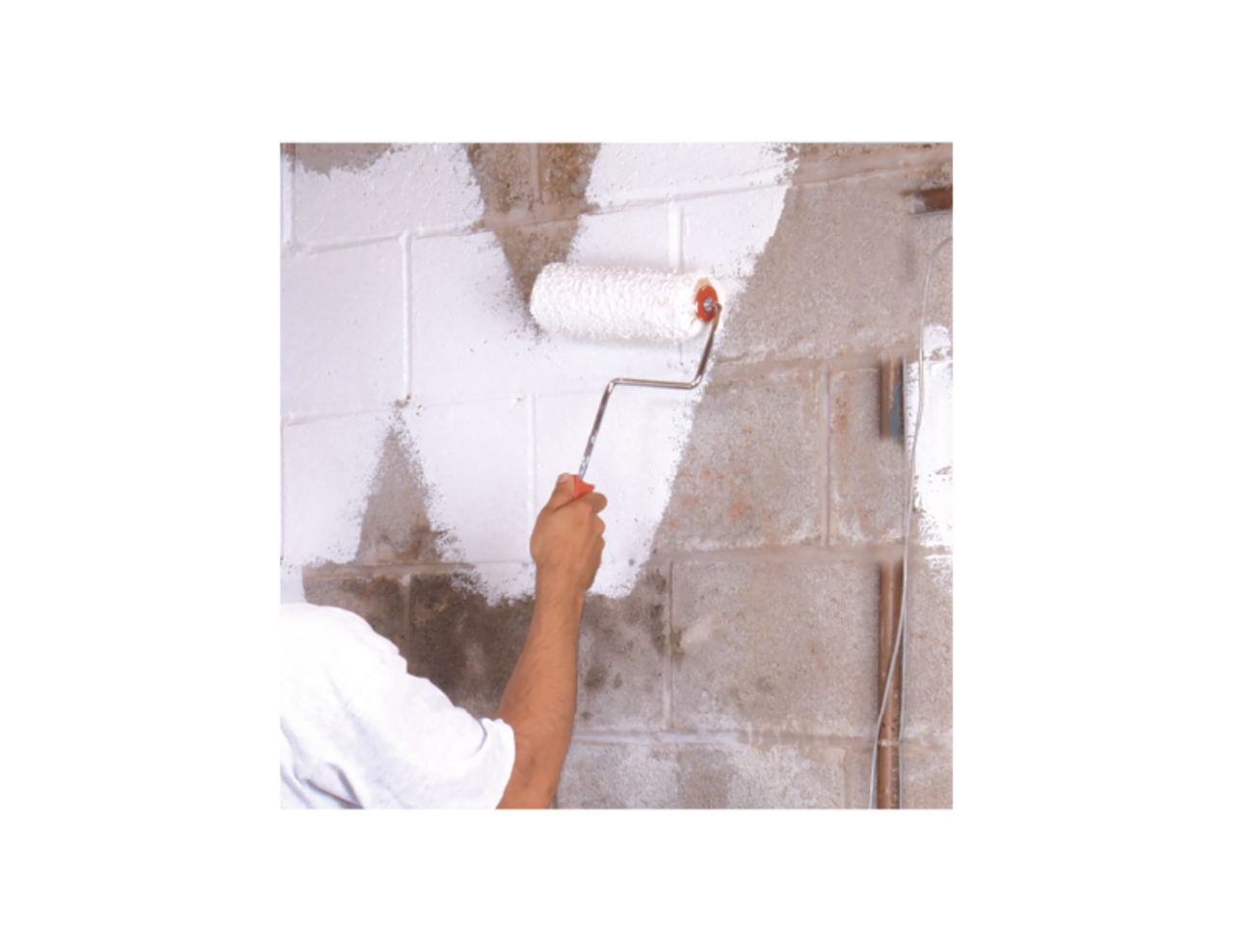 RUST-OLEUM Peinture intérieure anti-moisissures PERMA-WHITE, 3,7 L