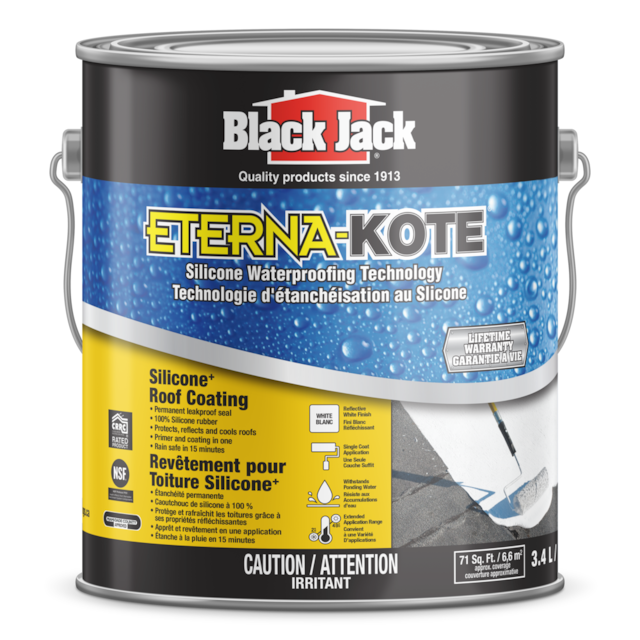 Black Jack EternaKote Silicone Roof Coating, 1Gal Canadian Tire