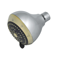 Peerless 5 Setting Chrome and Brass Fixed Shower Head Front_Angled_Left