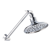 Danze 2.5GPM 6 Settings Fixed Showerhead with Adjustable arm in Chrome Finish Front_Angled_Right