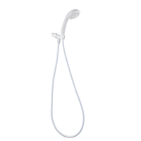 Danze 2.5GPM  4 Settings Handheld Shower with Grey Face and Chrome Body and 60"metal hose and brass pivot ball of bracket Front_Angled_Right