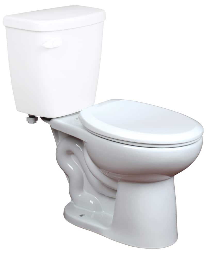 Danze Aurora Round Standard Toilet Bowl | Canadian Tire