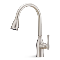Danze Lisa Single-Handle High Arc Pull-Down Kitchen Faucet, Brushed Nickel