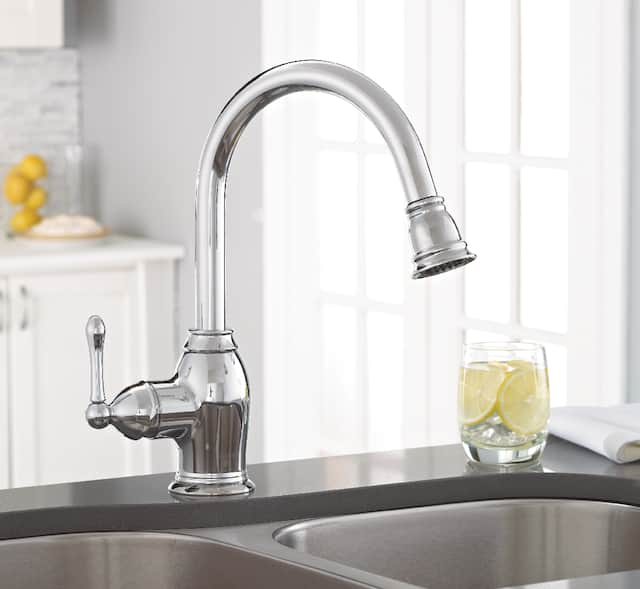 Danze Sheridan 1-Handle Pull Down Kitchen Faucet, Chrome | Canadian Tire