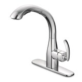 Danze Melrose Single Handle Pull Out Kitchen Faucet, Chrome Front_Angled_Left