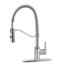 Danze Jasper Single Handle Kitchen Faucet, Chrome | Canadian Tire