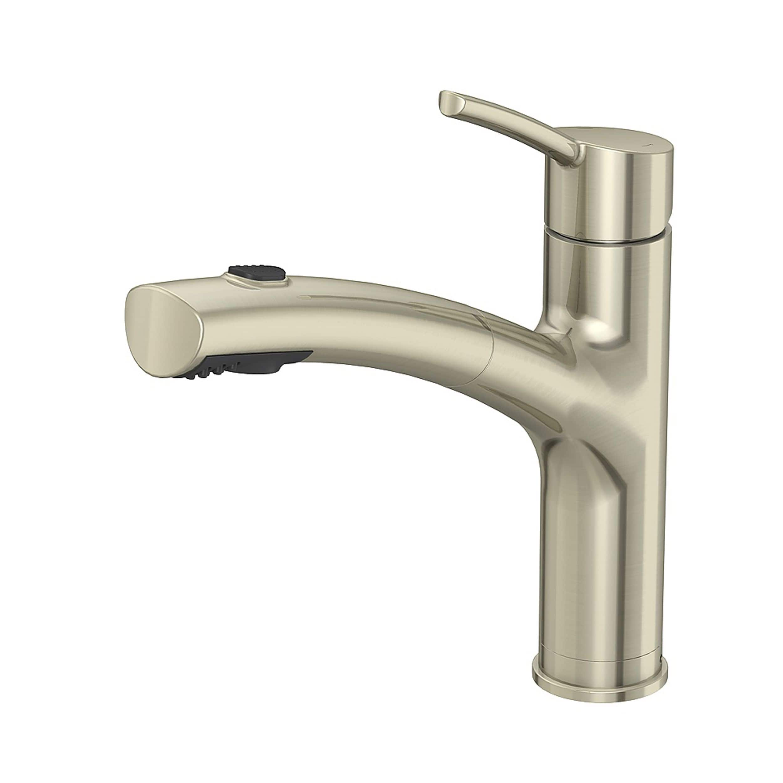 Danze Pull-Out Kitchen Faucet, Brushed Nickel | Canadian Tire