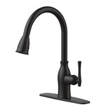 Danze Lisa 1-Handle Pull-Down Kitchen Faucet, Matte Black Front_Three_Fourths_Angled_Left