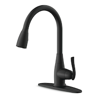 Danze Terrazo 1-Handle Pull Down Kitchen Faucet, Matte Black Front_Angled_Left