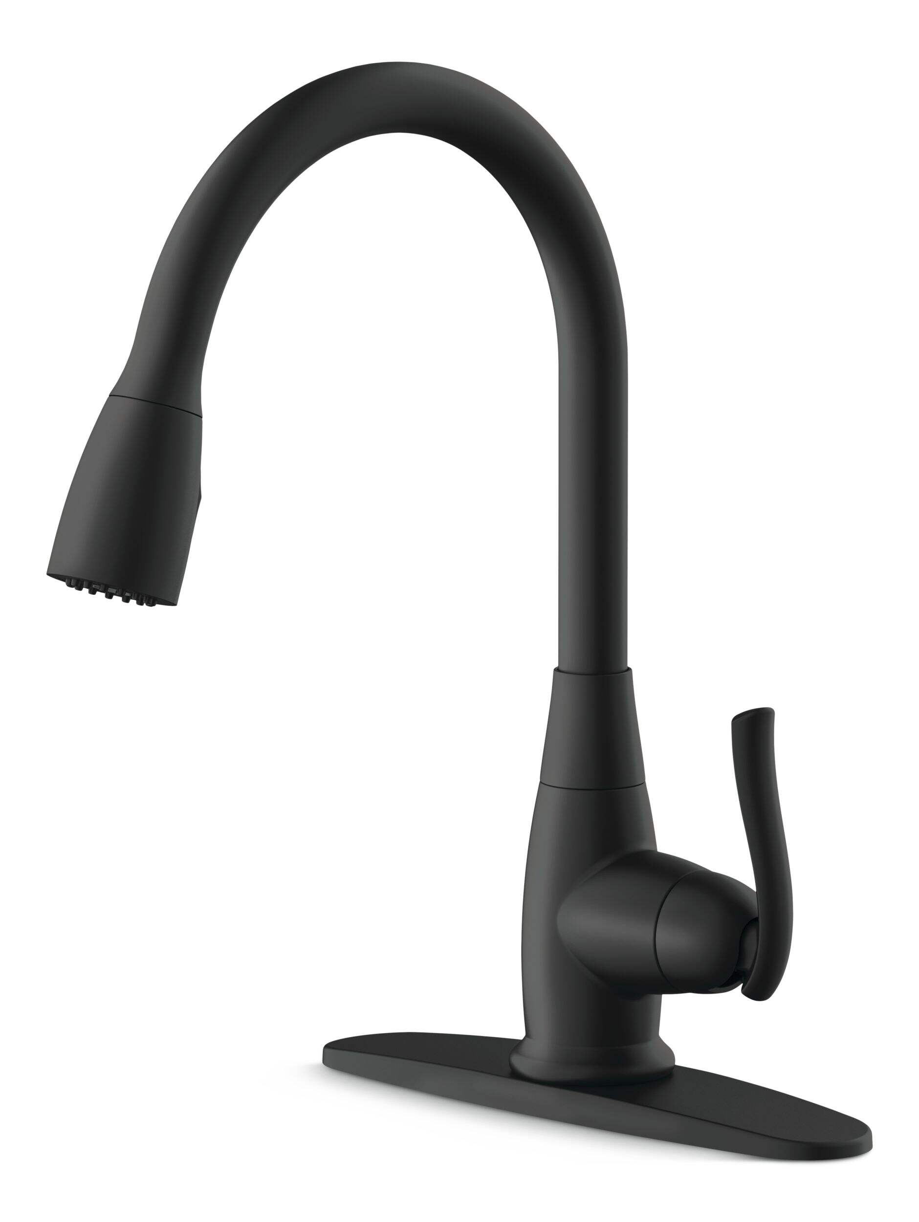 Danze Terrazo 1-Handle Pull Down Kitchen Faucet, Matte Black Front_Angled_Left