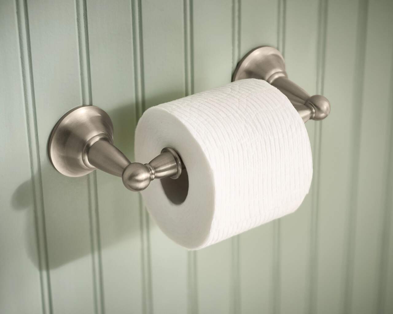 Moen® Sage Pivoting Bathroom Toilet Paper Holder, Brushed Nickel