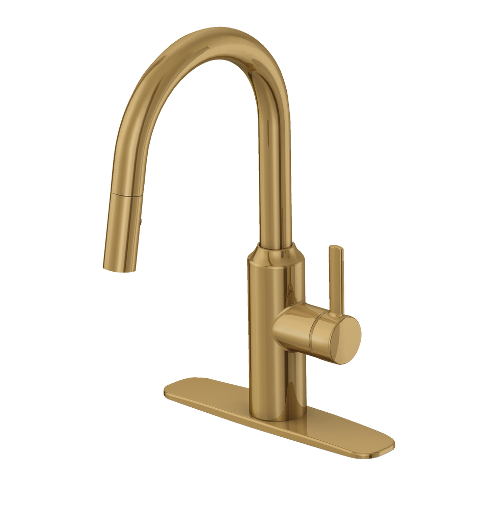 Danze Colby 1Handle Pull Down Kitchen Faucet, Brushed Bronze