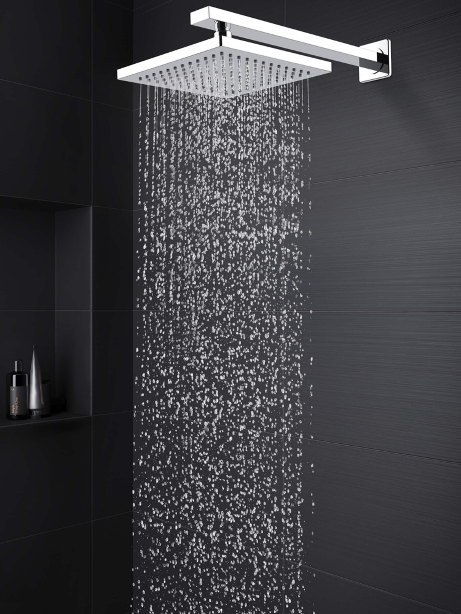 Pfister Vorena Rain Spray Shower Head & Arm Combo, Chrome Canadian Tire