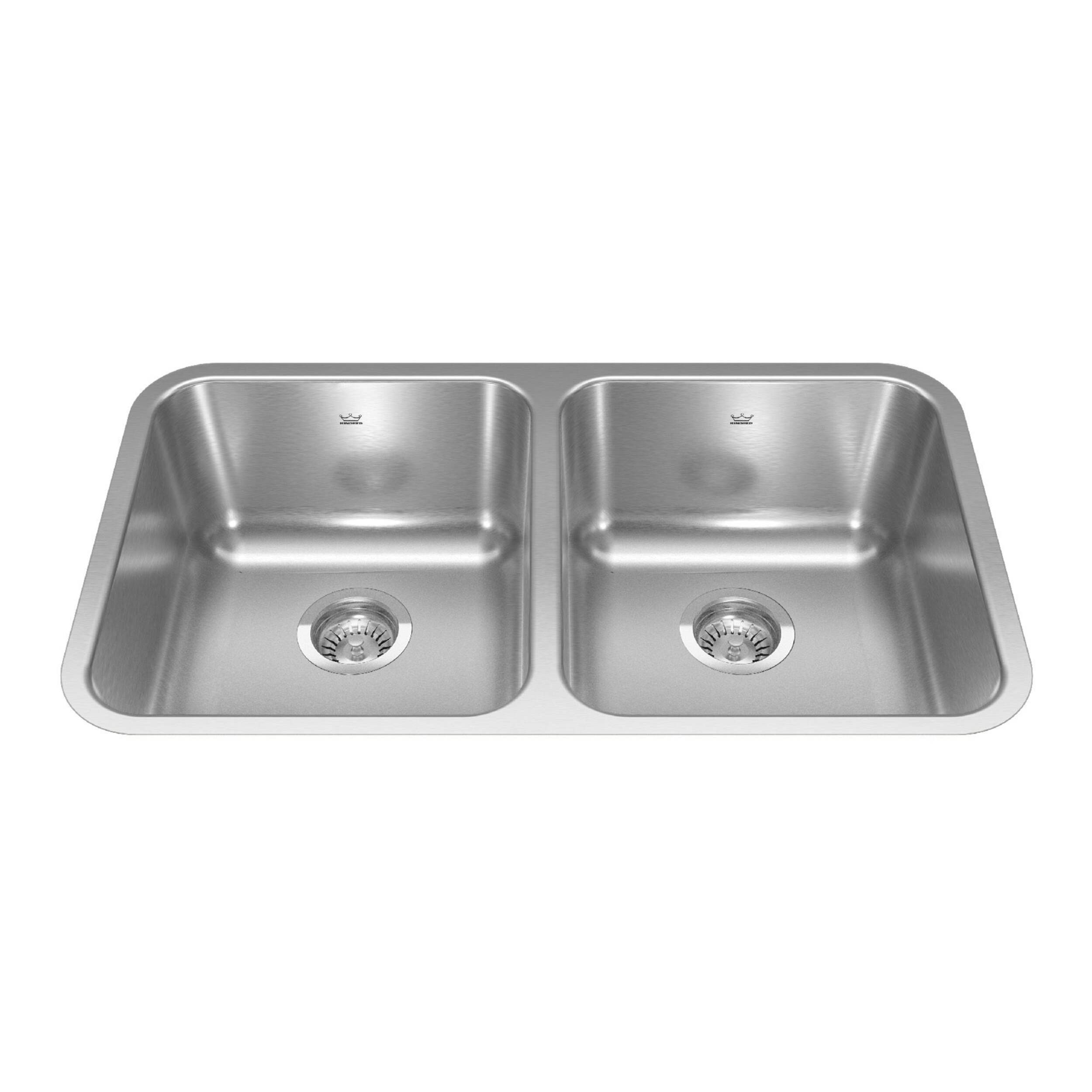 Reginox FB Double Stainless Steel Sink, 30.88x17.75-in Overhead_Plunge