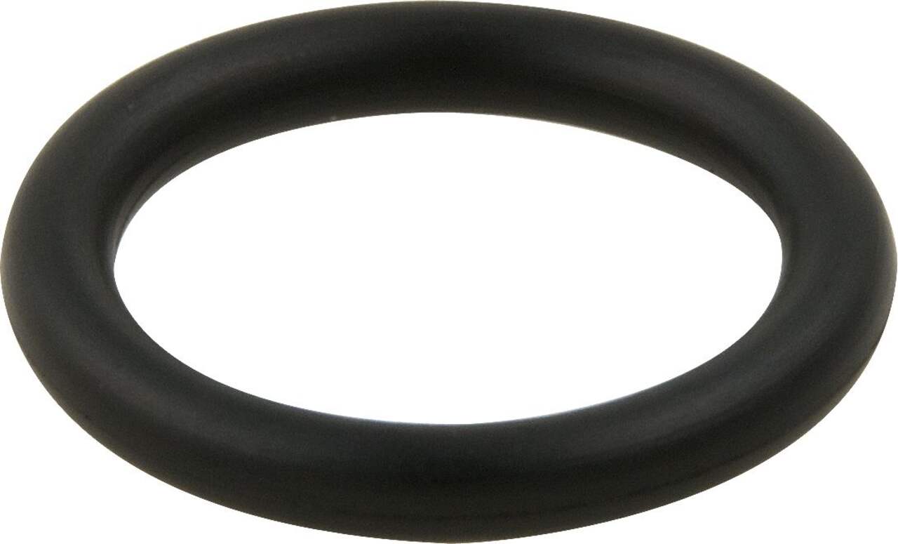 MOEN Assorted O-Rings 5 Sizes