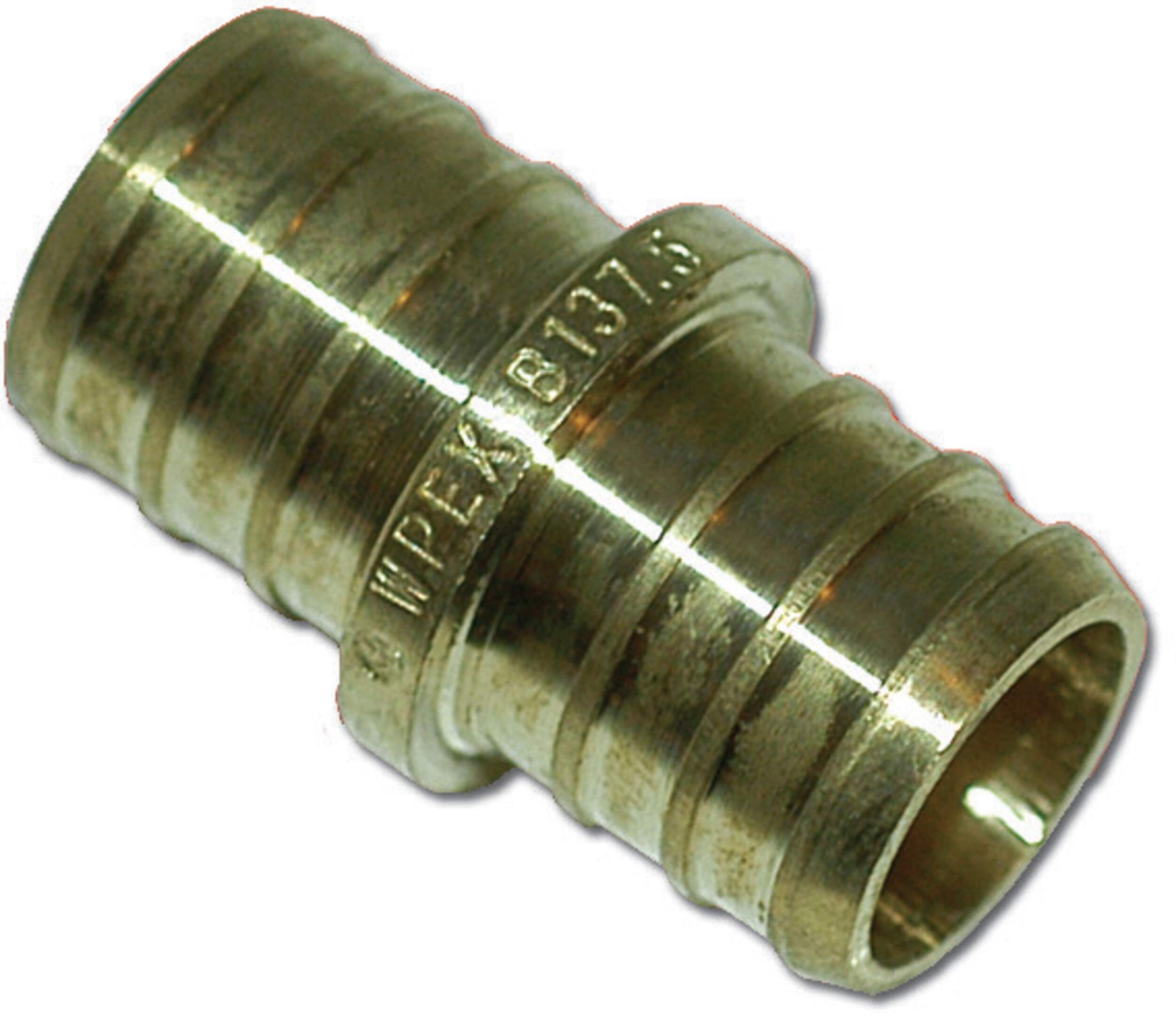 Raccord en PEX sans plomb pour plomberie Waterline, 3/4 x 3/4 po Overhead_Flat