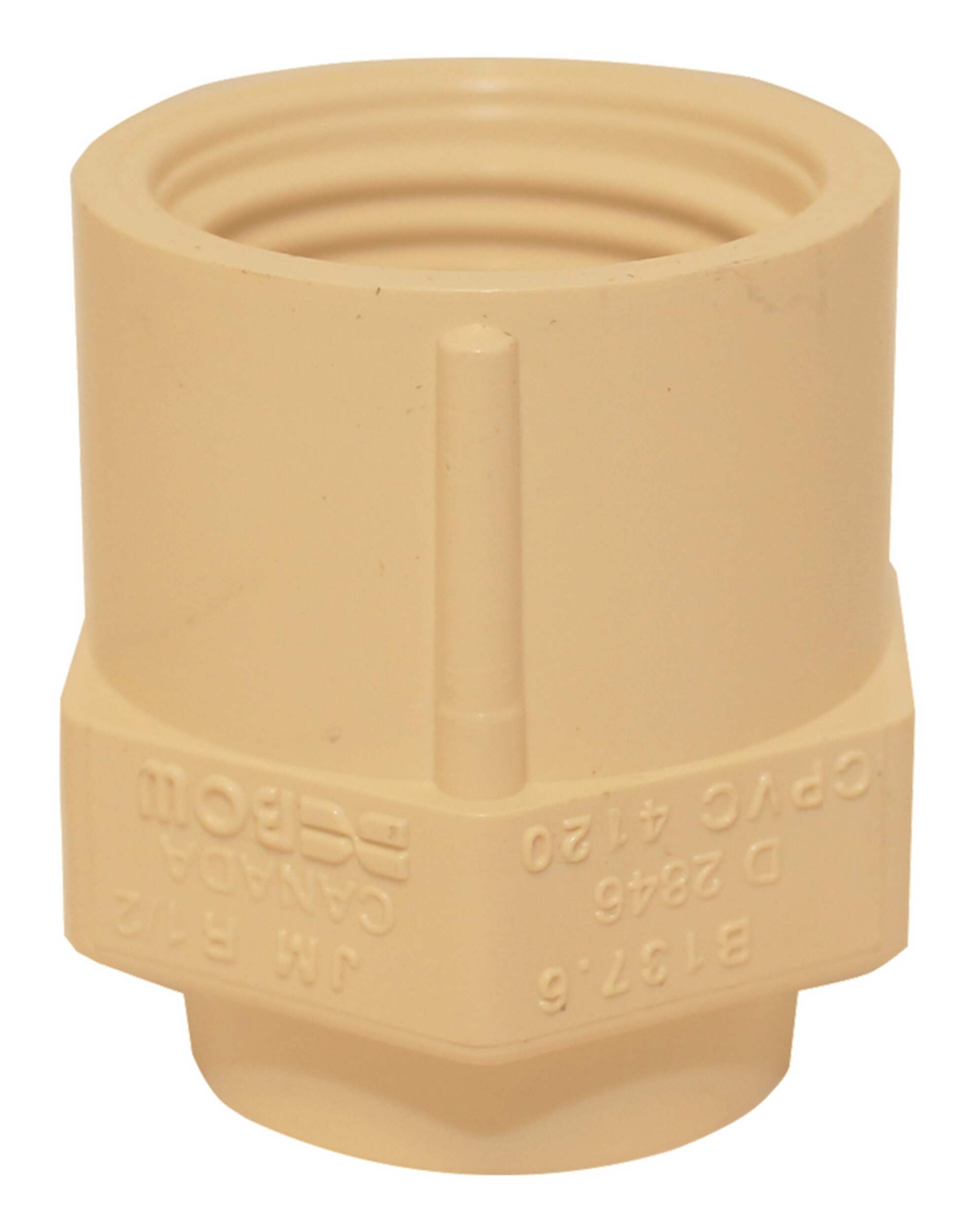 Bow Female Adapter CPVC, 0.5-in Overhead_Plunge