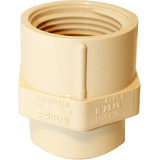 Adaptateur femelle Bow en PVC-C, 0,7 po Overhead_Plunge