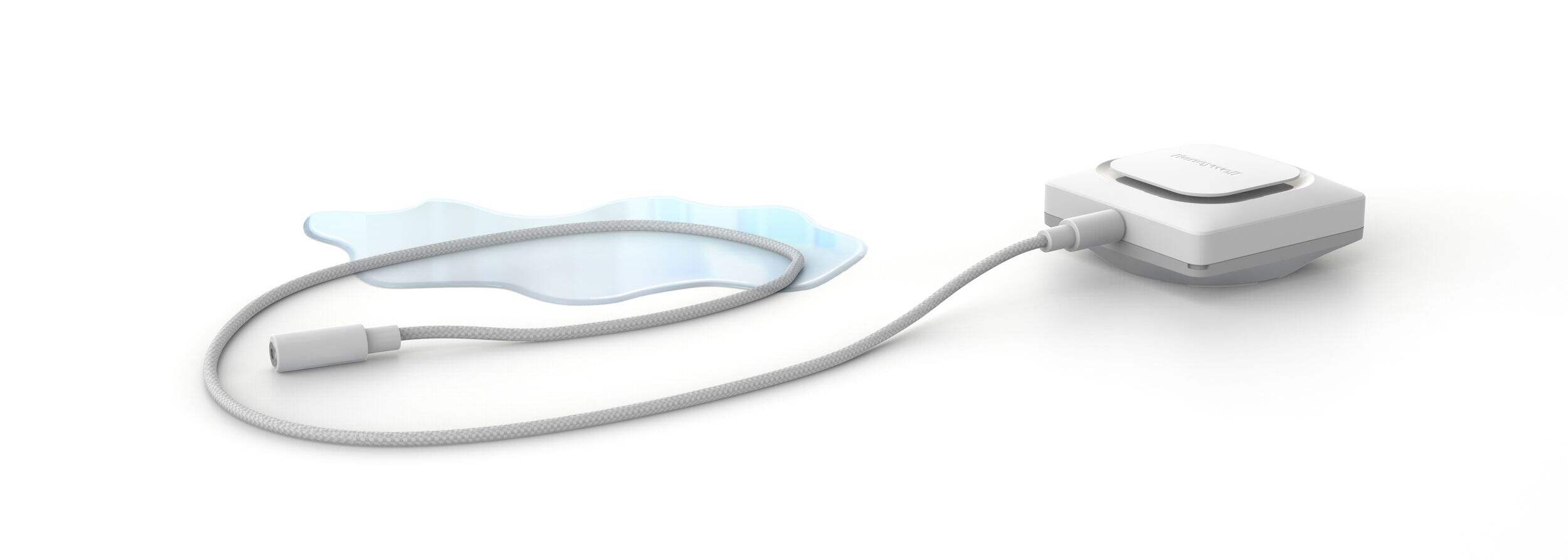 Honeywell Lyric™ WifiEnabled Water Leak & Freeze Detector Canadian Tire