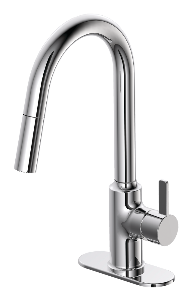 Danze 4in SingleHandle PullDown Laundry Faucet, Polished Chrome