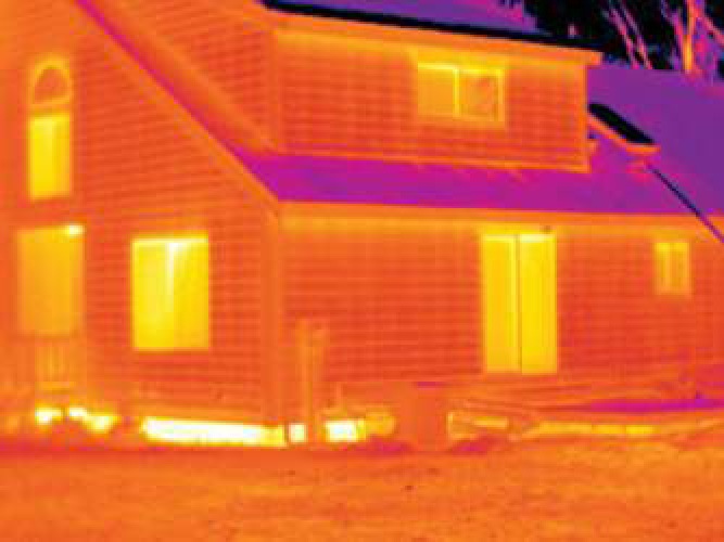 Flir Imaging Infrared Thermometer Canadian Tire