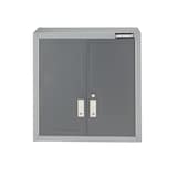 Mastercraft 28" Grey 2-Door Wall Cabinet with Adjustable Shelves, 28 x 12 x 28-in Front_Three_Fourths_Angled_Left