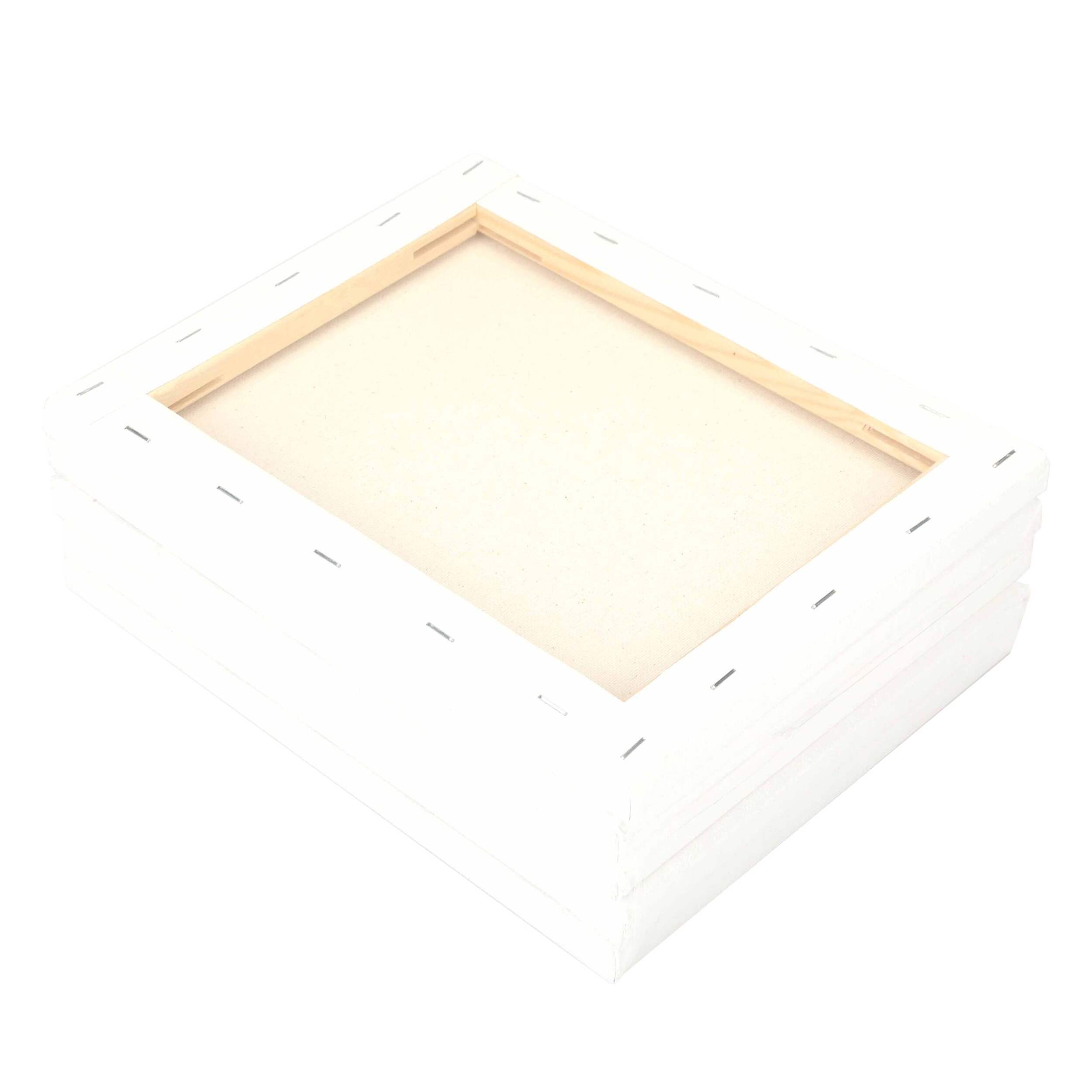 Mastercraft Crafting Canvas for Oil and Acrylic Paint, 5-pk Overhead_Plunge