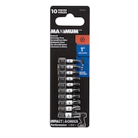 MAXIMUM Security Torx Screwdriver Bits, Assorted, 1-in, 10-pk