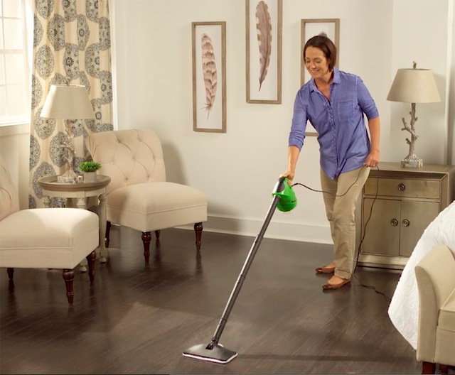 As Seen On TV H20 Steam FX Pro Steamer Canadian Tire