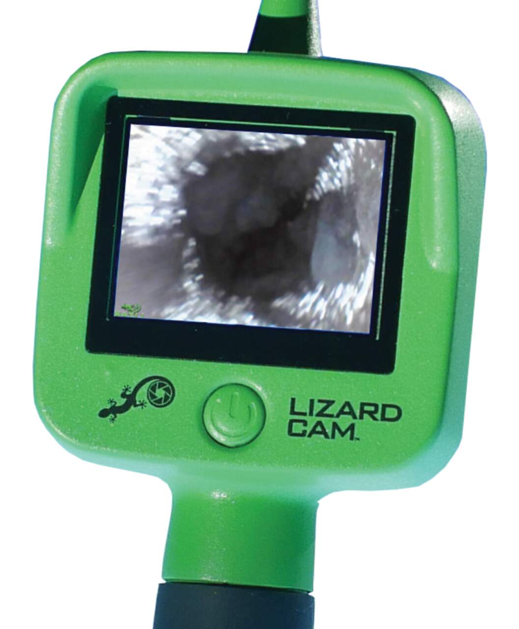 Lizard Cam by Atomic Beam - As Seen On TV Tech