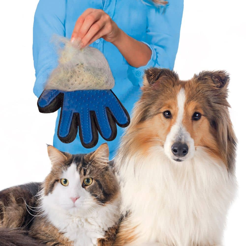 Dog petting hot sale glove