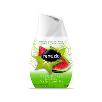 Renuzit Melon & Starfruit Solid Air Freshener