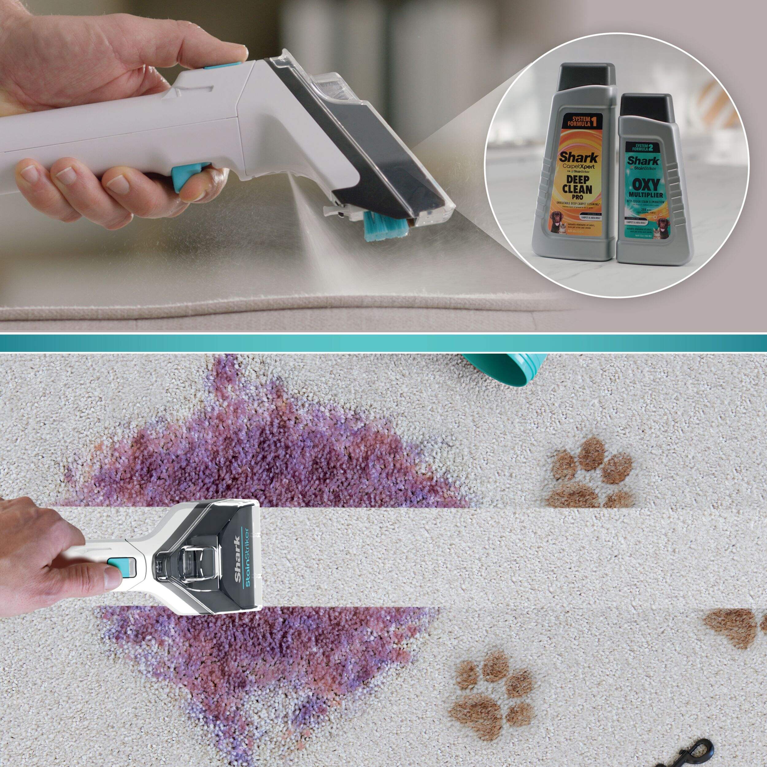 Nettoyant en profondeur pour tapis Shark et détachant Oxy Multiplier, 473 mL et 946 mL Composite_or_Mixed